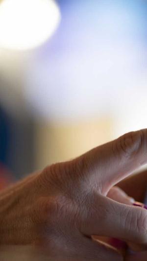 如何把网站放入蜘蛛池截图1