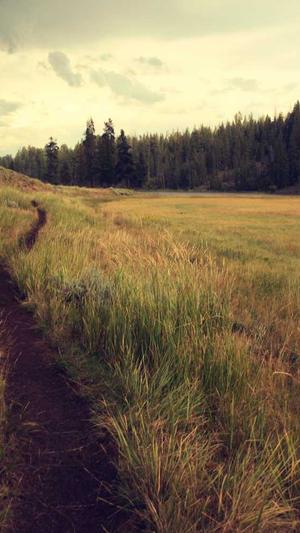 蜘蛛池在线截图3