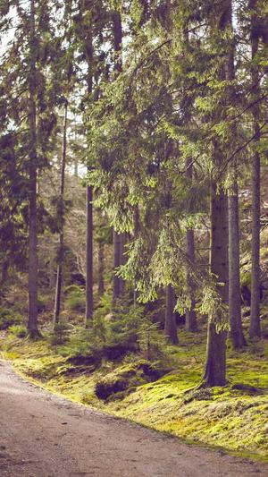 郑州seo优化截图2