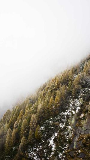 蜘蛛池负作用截图3