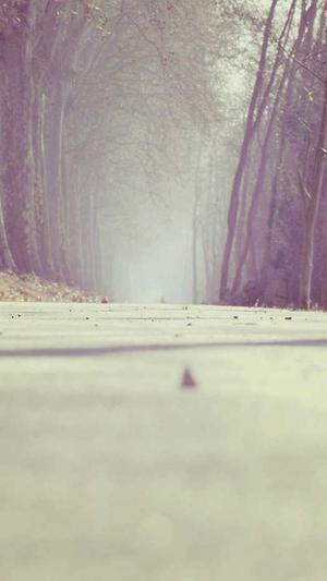 蜘蛛池泛站群截图4