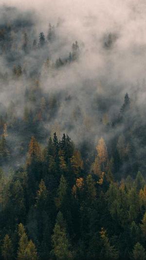 泛目录交易截图2