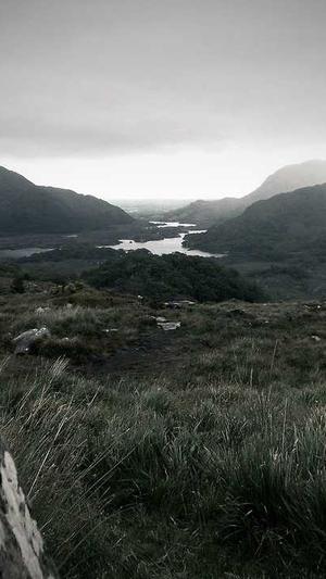 高权重泛目录截图3