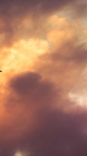 苏州seo培训截图3