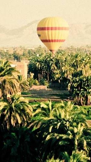 泛目录寄生虫截图2