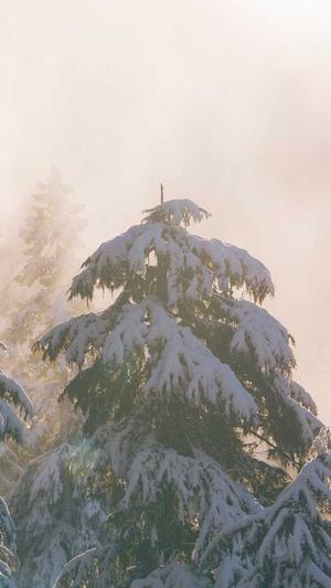 梦幻西游私服邀请码截图1