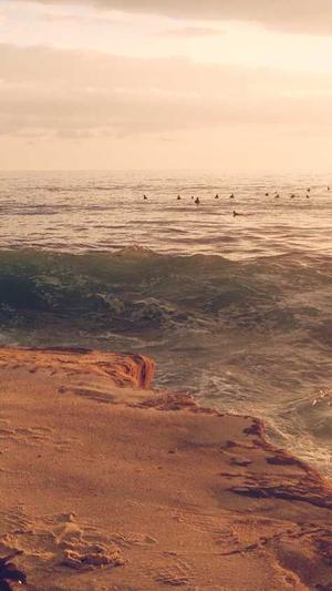 泛目录怎么做seo截图1