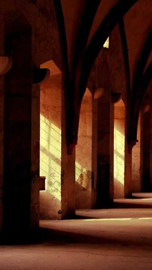 泛目录对网站的影响截图2