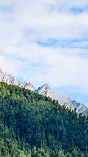 seo蜘蛛池真的有用吗截图2