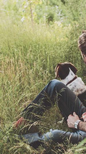 重庆seo服务公司截图3