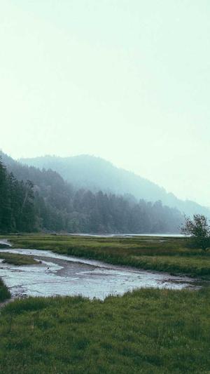 超级蜘蛛池怎样做截图4