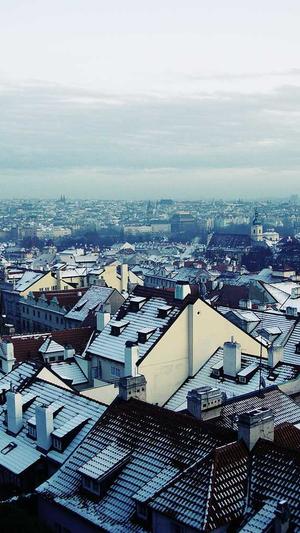 重庆seo好不好截图3