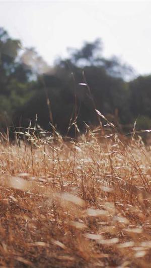 蜘蛛池修改参数截图1