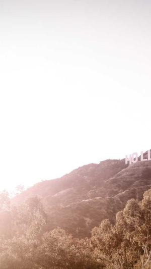 秒收录蜘蛛池优化截图5