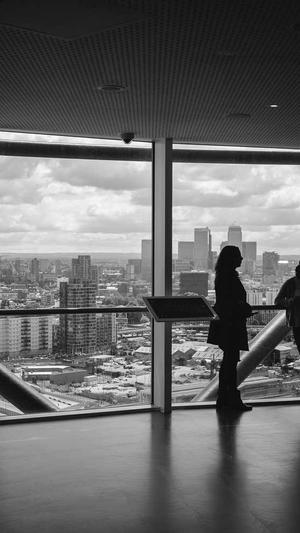 蜘蛛池源码免费分享截图2