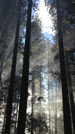 泛目录站群系统截图2