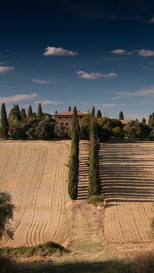 泛目录排名原理及讲解截图3