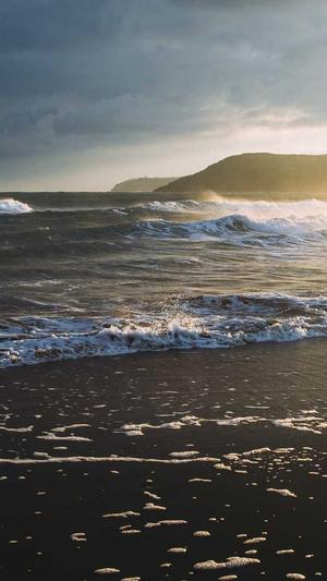 百度蜘蛛池作用截图1