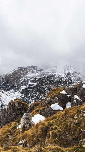 郑州seo网站有优化截图2