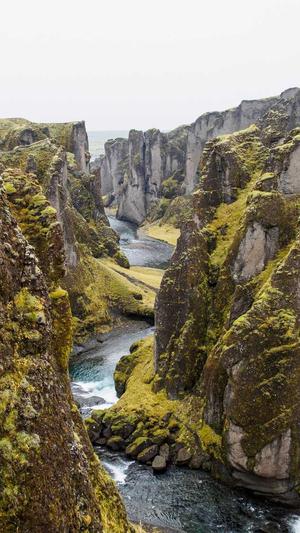 蜘蛛池源码免费分享截图3