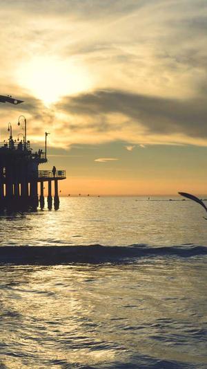 梦幻西游网页版私服截图4