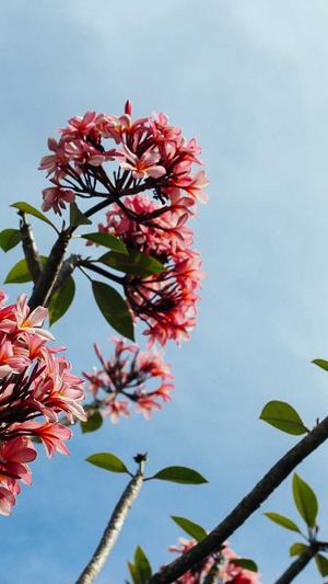 梦幻西游私服无限资源截图1