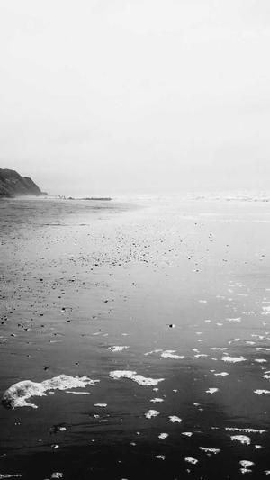 无锡seo推广截图2