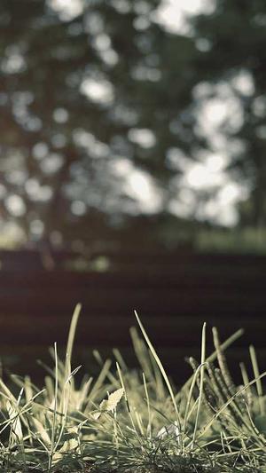 蜘蛛池秒收截图2