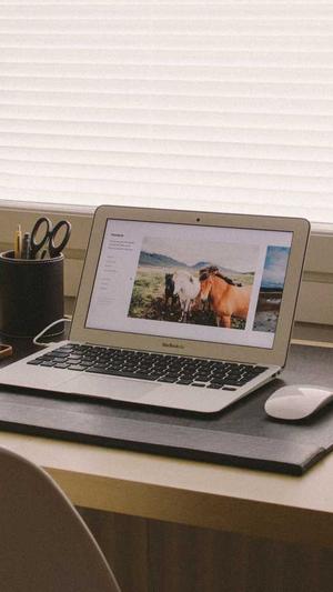 百度外推关键词泛目录截图3