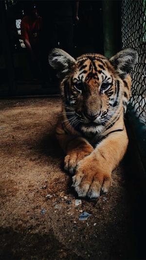 网站优化seo公司截图1