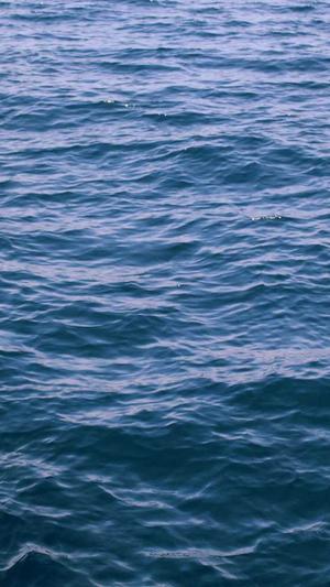 seo如何优化截图2