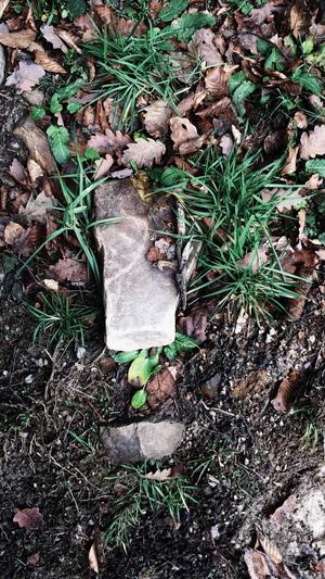 泛目录推广接单优化截图4