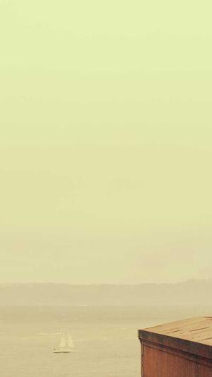 最新蜘蛛池截图3