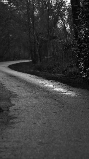 泛目录优化会被百度截图3