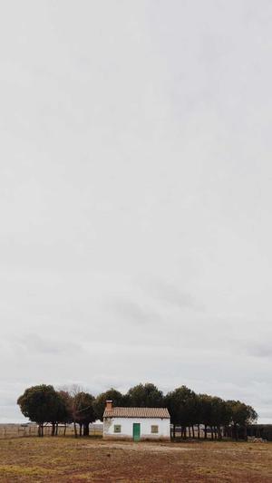 蜘蛛池手工制作视频截图2