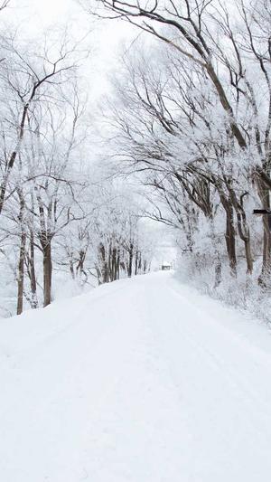 泛目录是什么关键词截图3