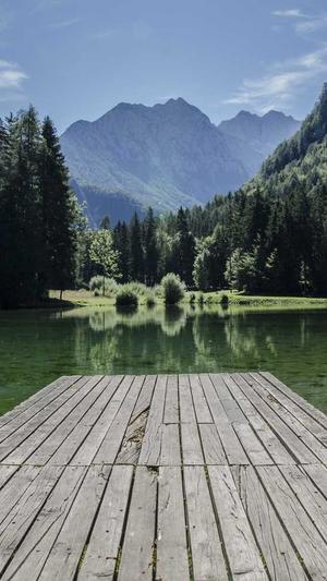 寄生虫蜘蛛池搭建方法截图1