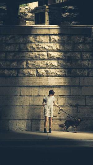 阿里蜘蛛池伪静态设置截图4