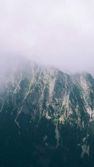 seo网站内部优化截图2