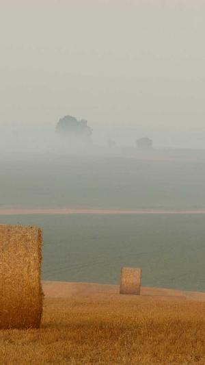 seo推广技术截图4