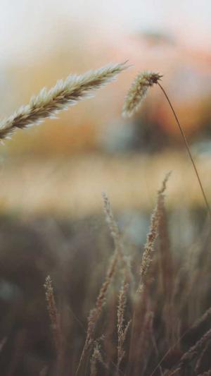 长沙网站seo截图5