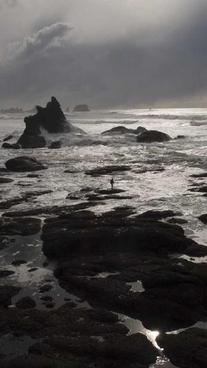 秒收录蜘蛛池优化截图3