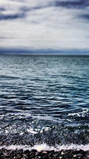 蜘蛛池建造程序截图1