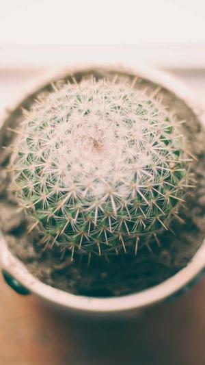 海尔模卡 wpk截图3