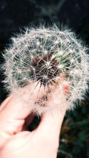 seo管家中心截图3