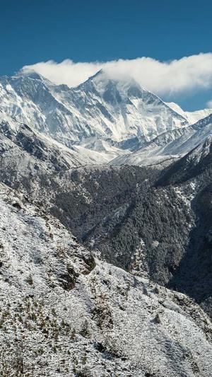 seo十万个为什么截图3