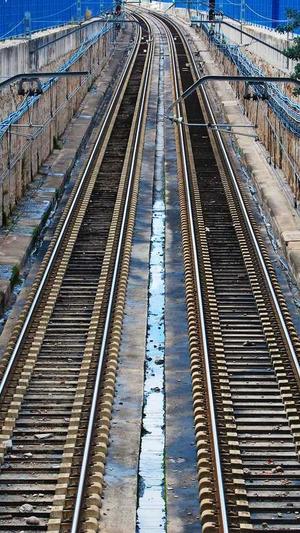 蜘蛛池租用秒收截图2