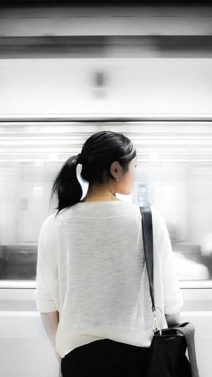 菜鸟蜘蛛池软件模板截图4