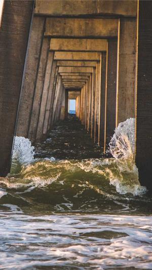 seo网站营销系统截图2