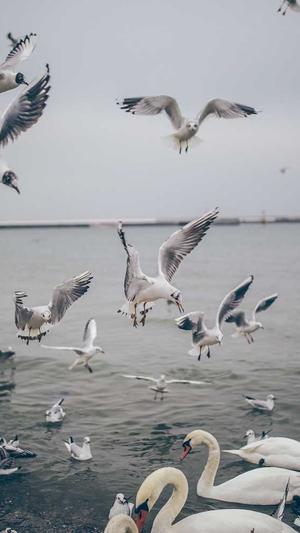 北京seo顾问截图3